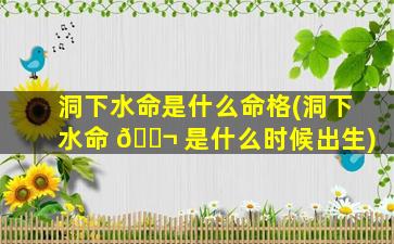 洞下水命是什么命格(洞下水命 🐬 是什么时候出生)